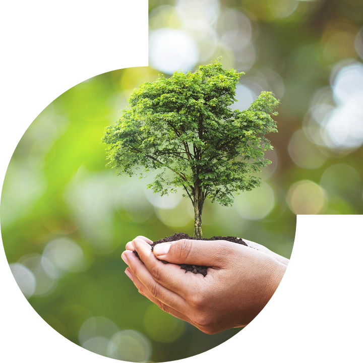 关怀人类、文化、环境与社会